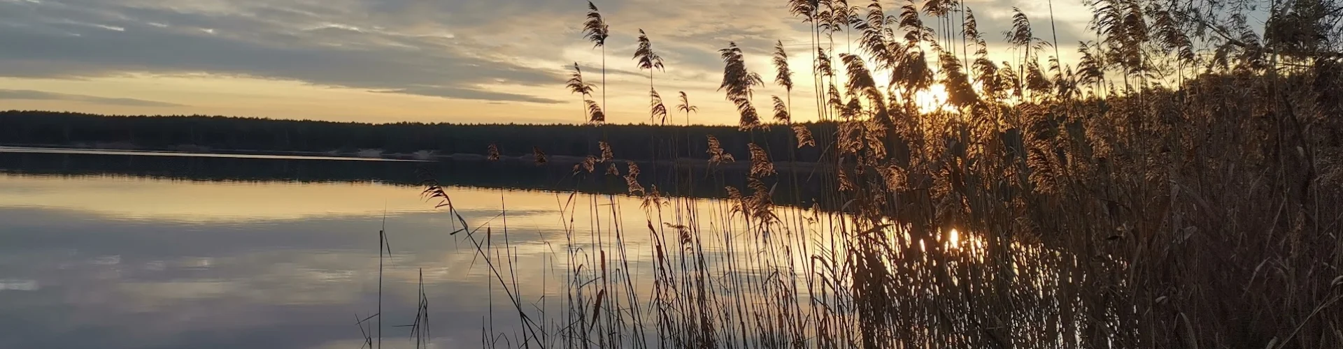 Bannerbild