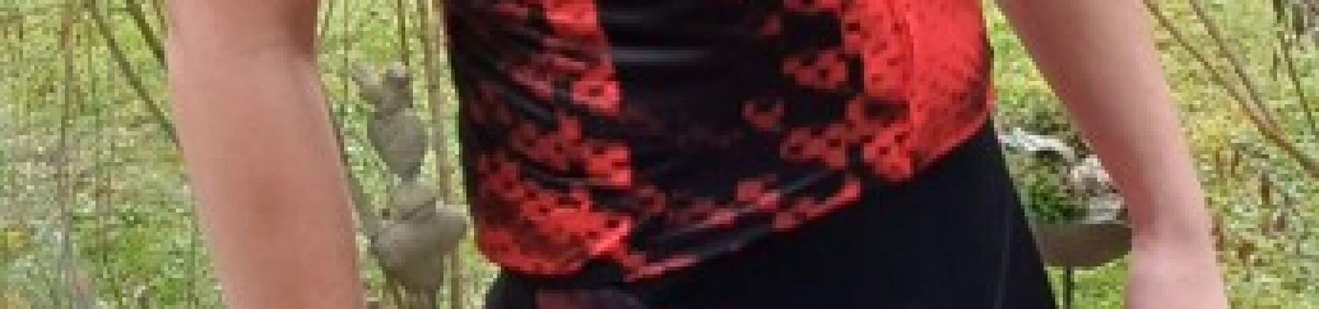 Bannerbild