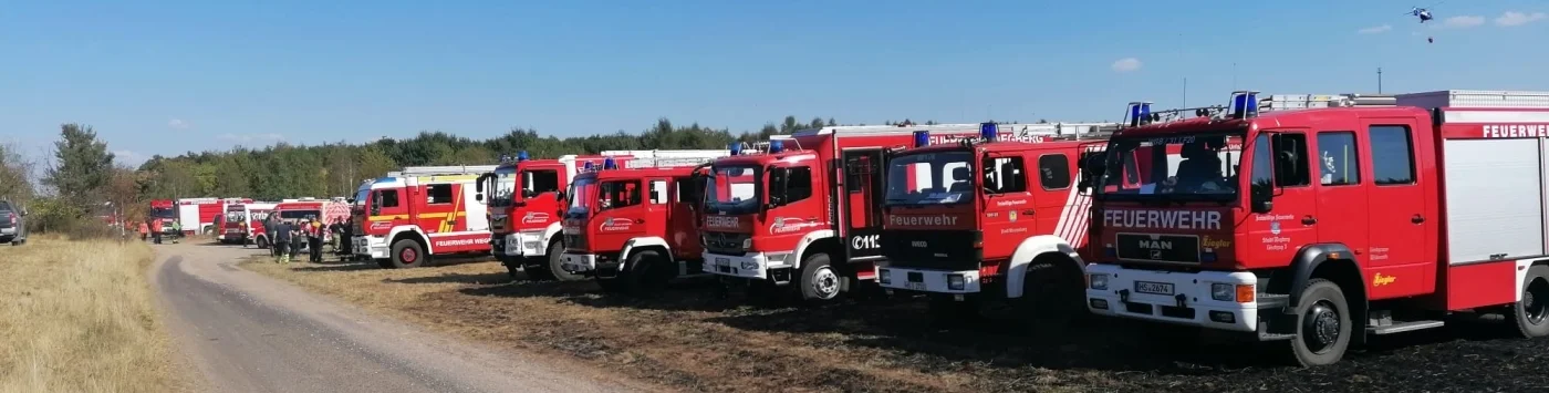 Flächenbrand Siemens