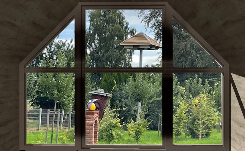 Nidokto-Studie, Ausblick