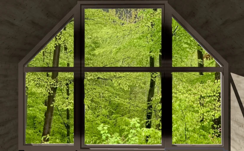 Nidokto-Studie, Ausblick