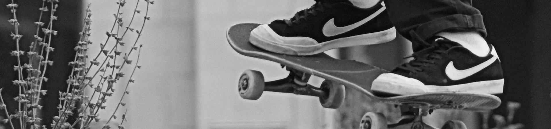 Bannerbild