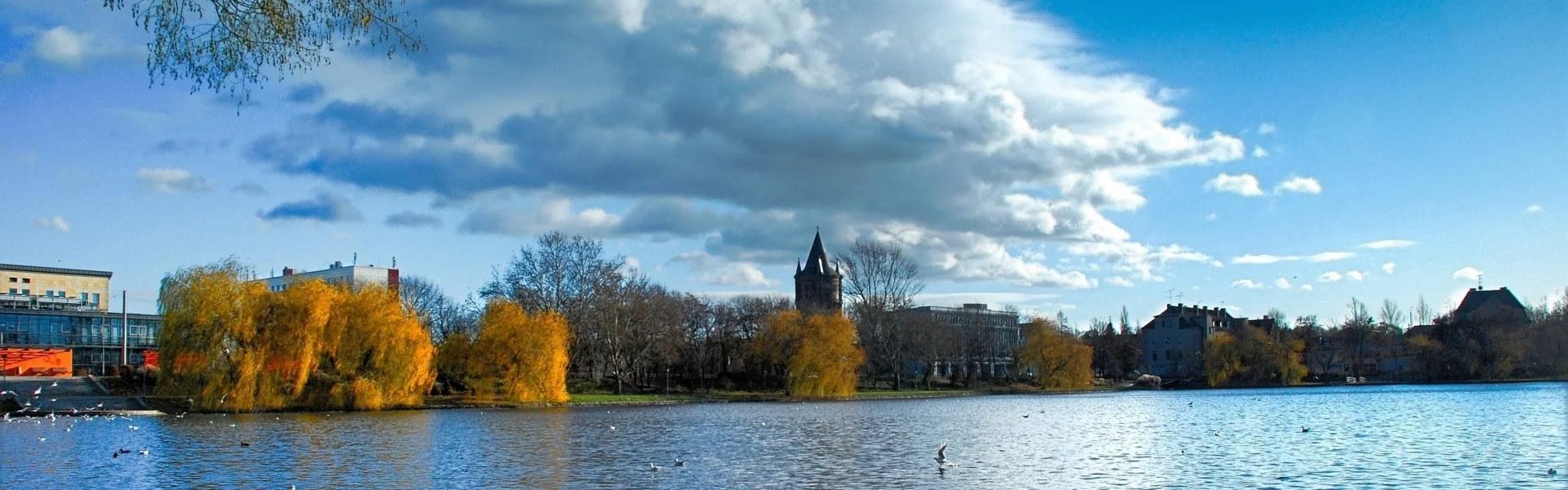 Bannerbild