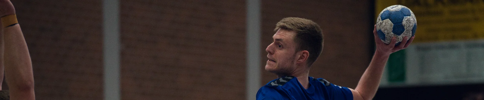 Bannerbild