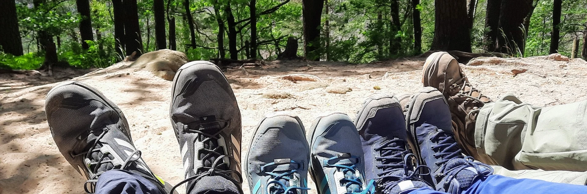 Bannerbild