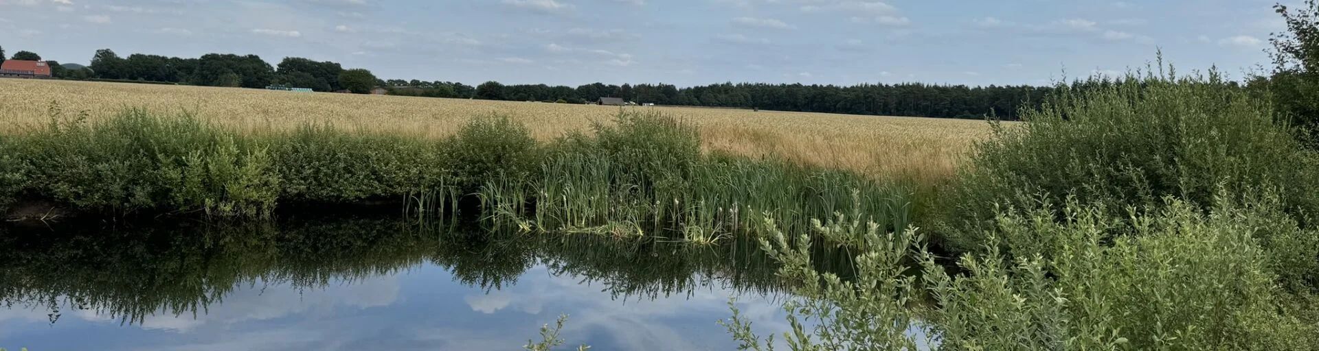 Gewässer im Acker | zur Startseite