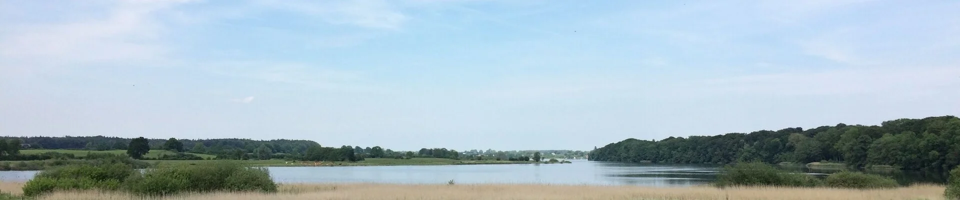 Blick von Bissee aus über den See Richtung Kirchbarkau