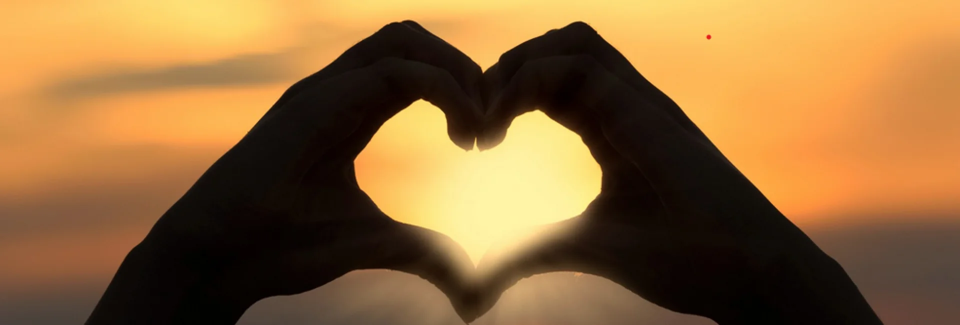 Bannerbild