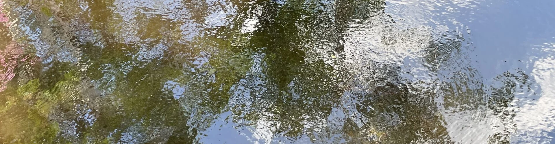 Bannerbild