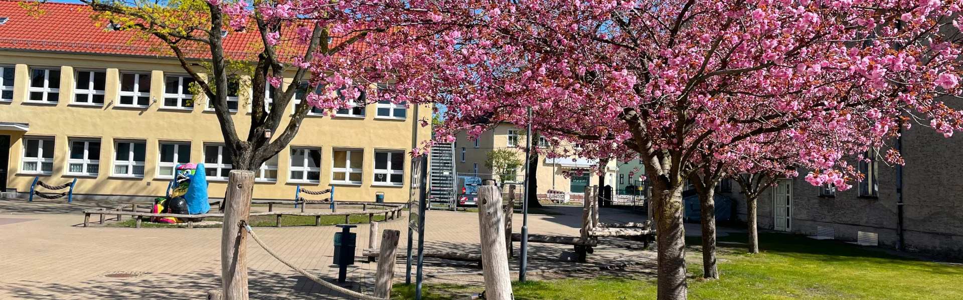 Bannerbild