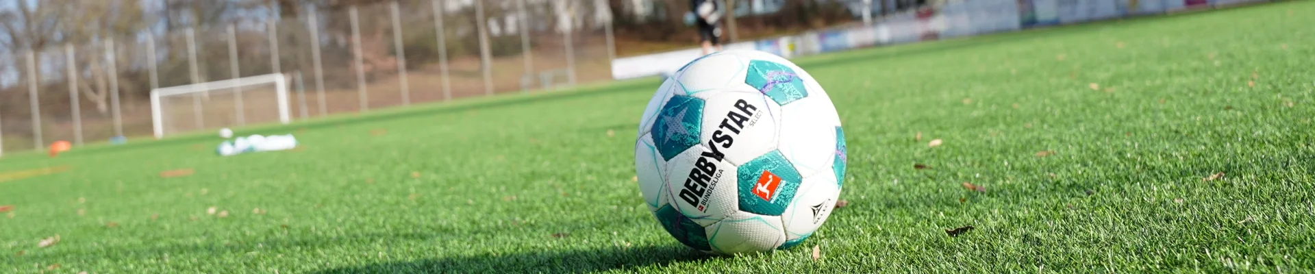 Bannerbild