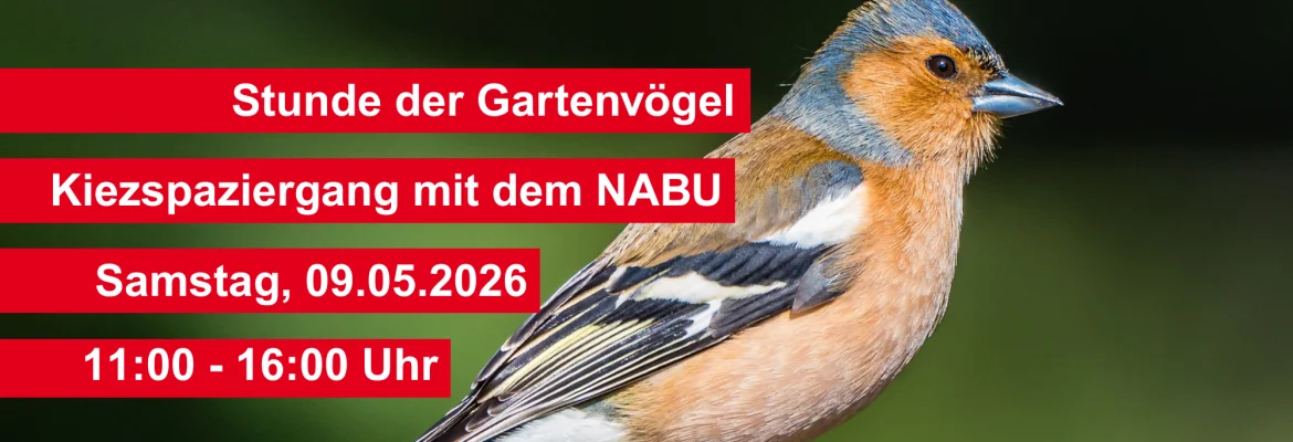 Bannerbild