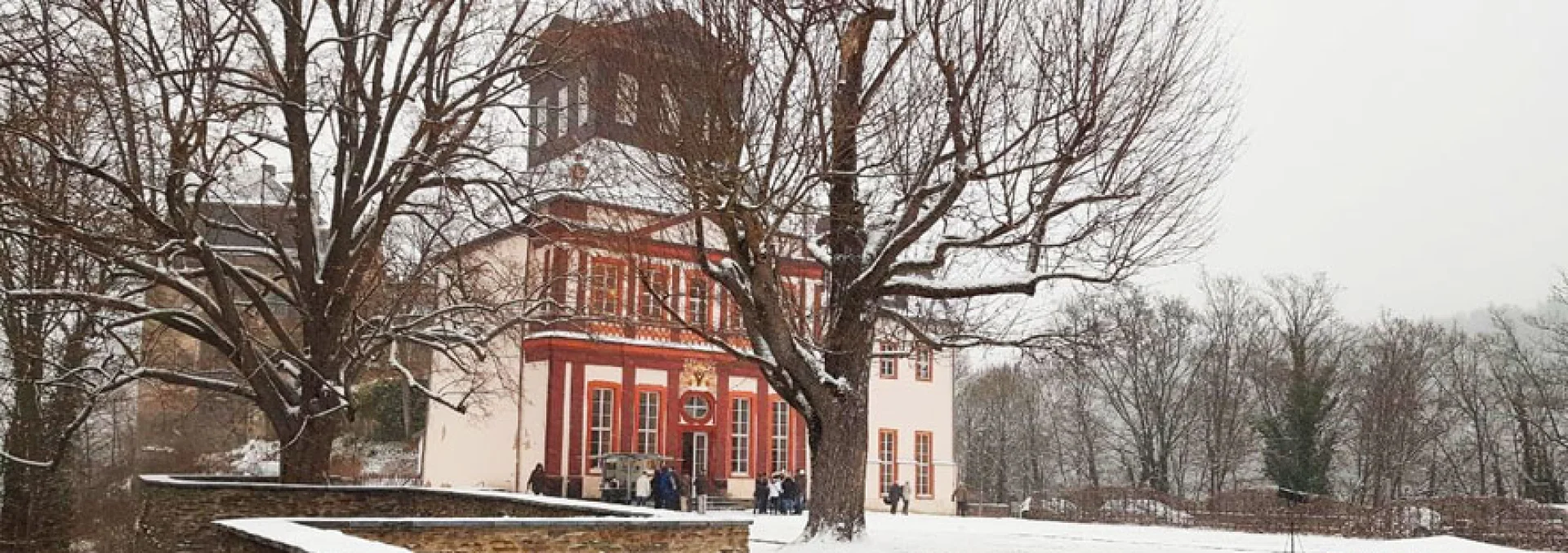 Bannerbild