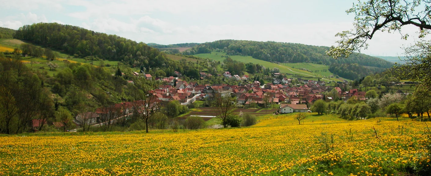 Bannerbild