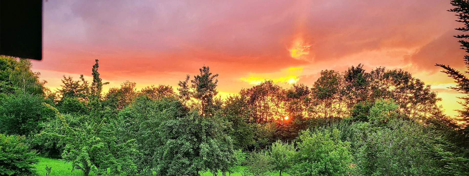 Bannerbild