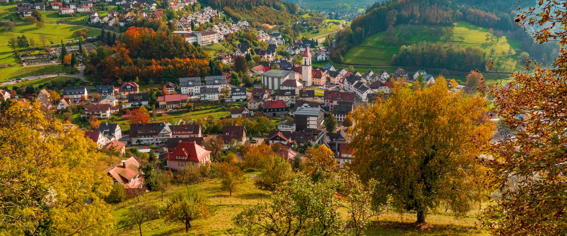 Panoramabild Ottenhöfen