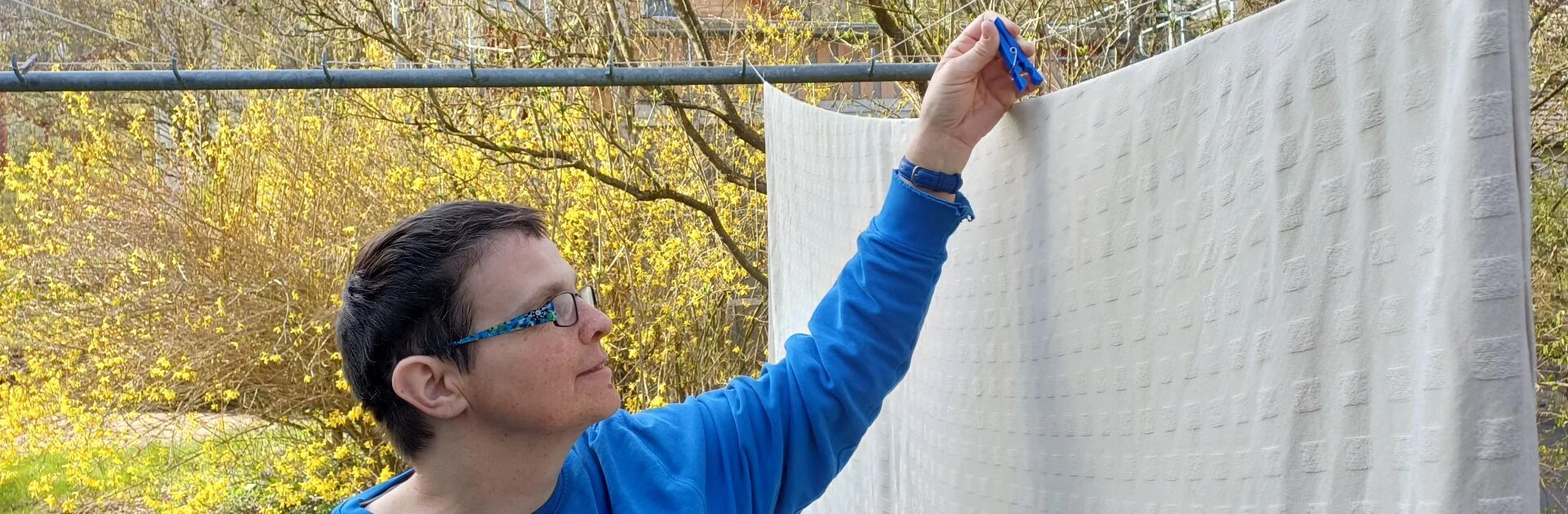 Bannerbild