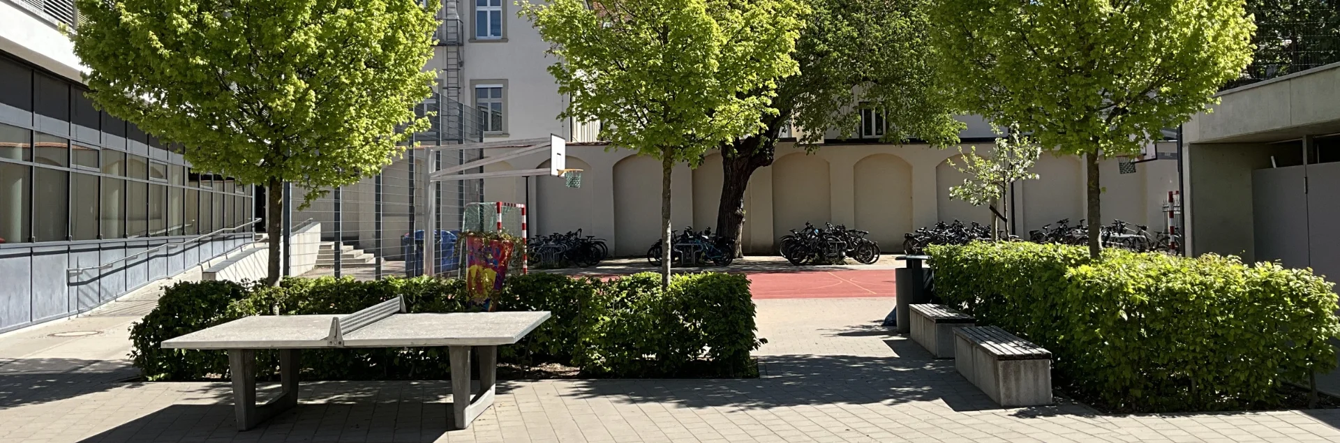 Bannerbild