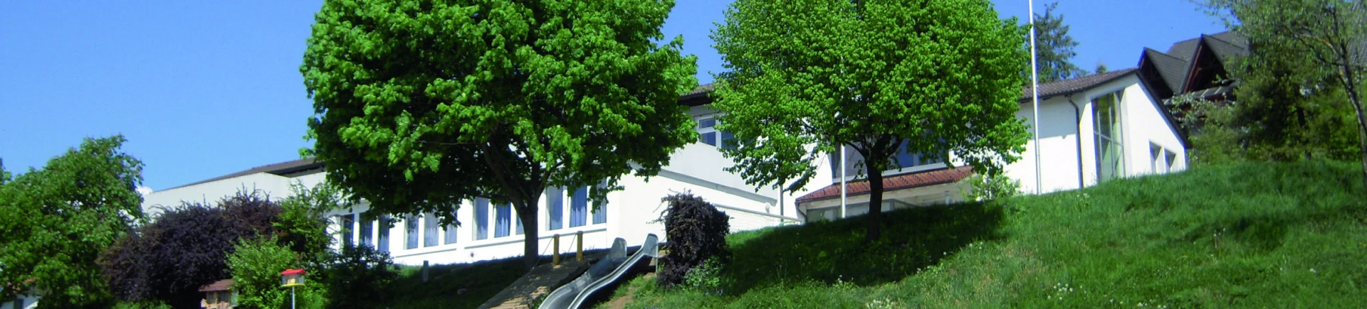 Bannerbild