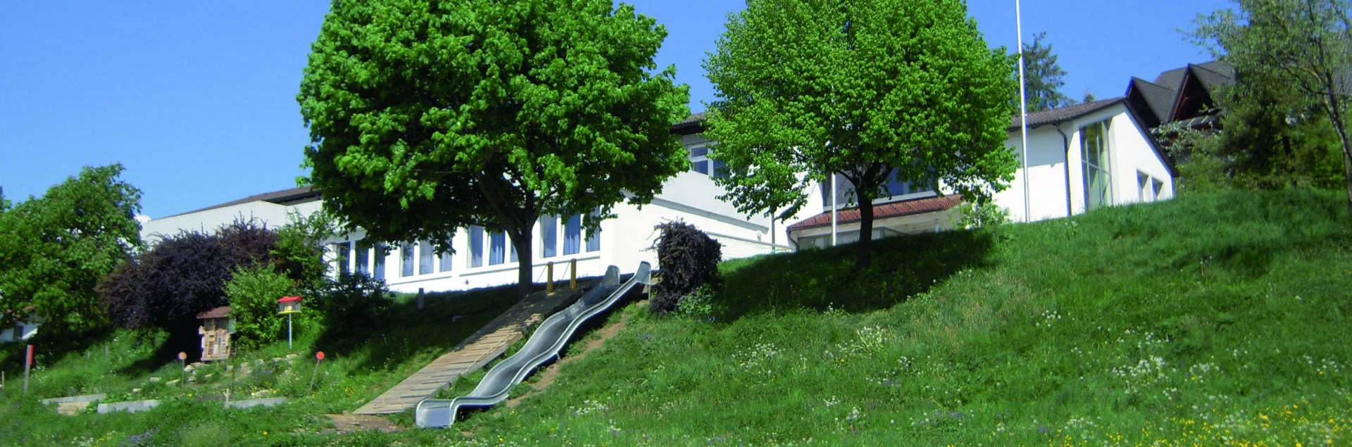 Bannerbild