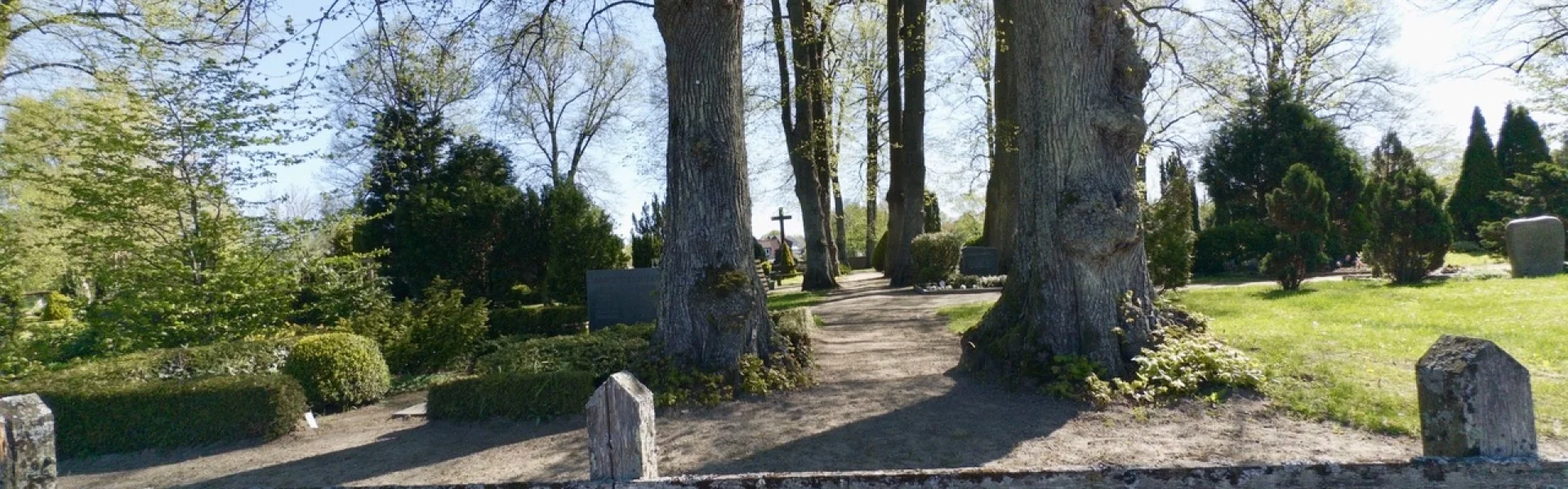 Friedhof in Sarau | zur Startseite
