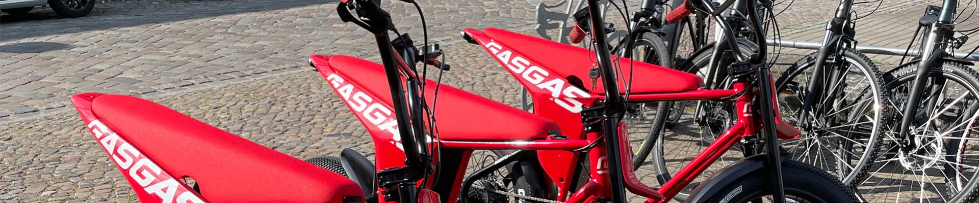 Bannerbild