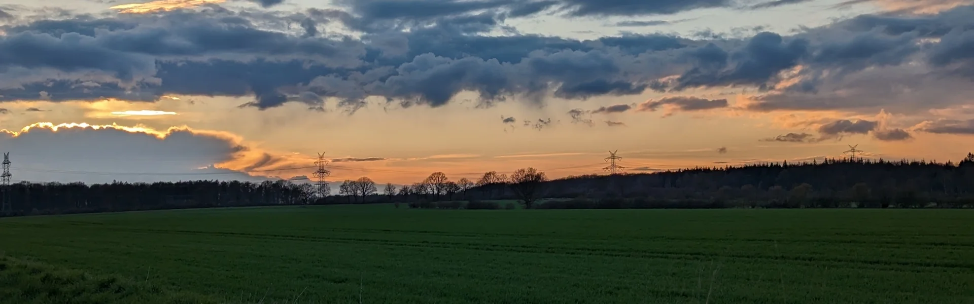 Frühling