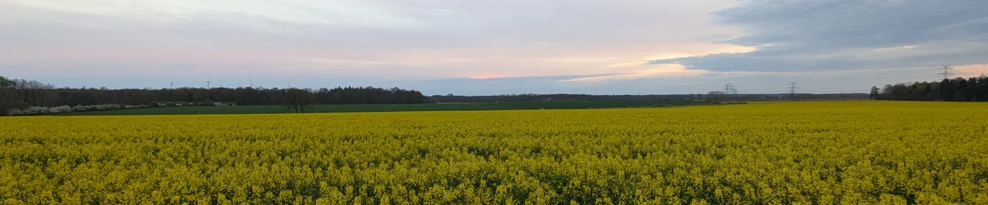 Frühling