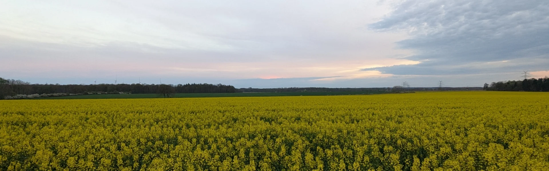 Frühling