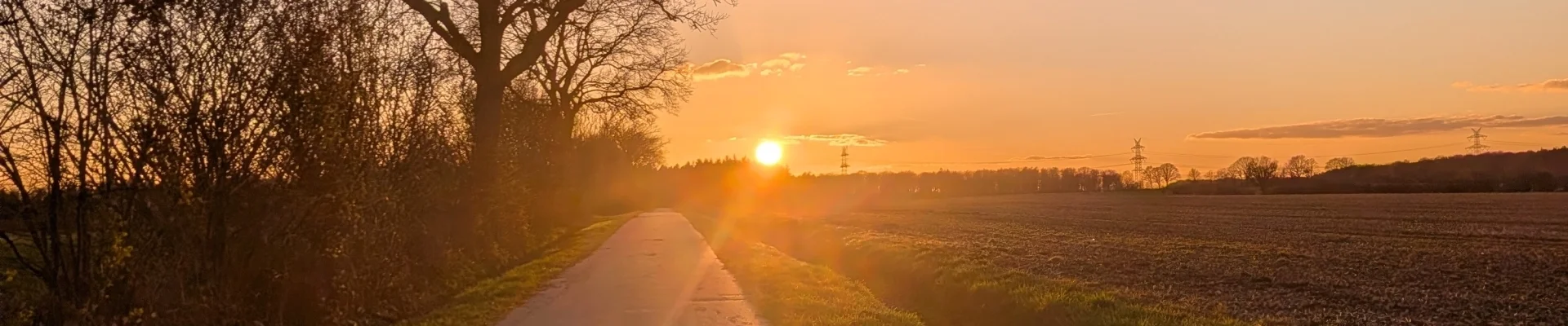 Frühling