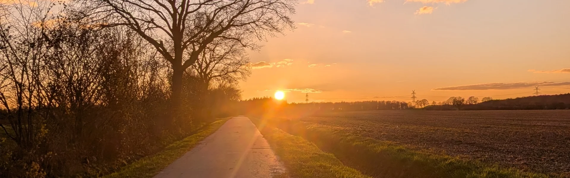 Bannerbild