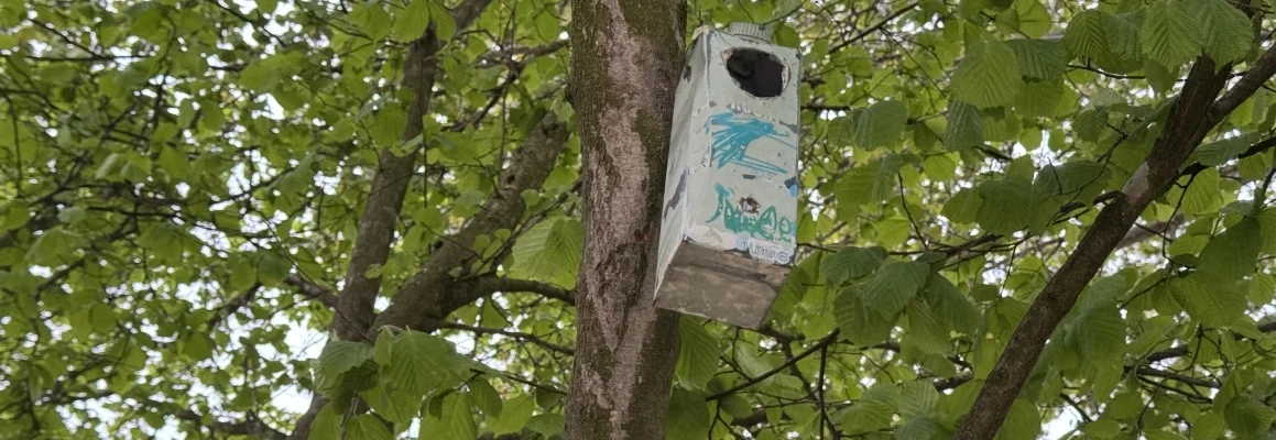 Bannerbild | zur Startseite