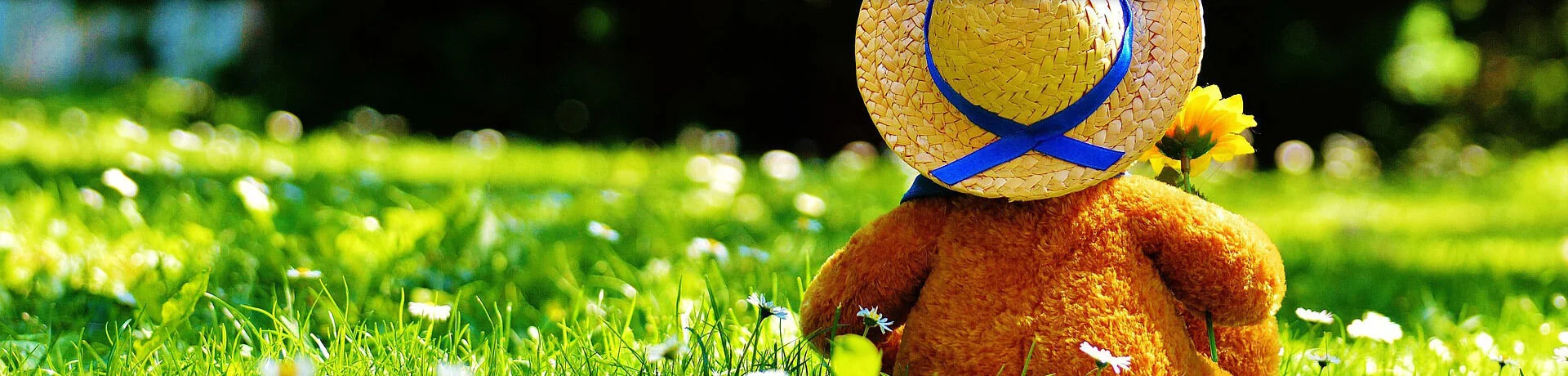 Bannerbild | zur Startseite