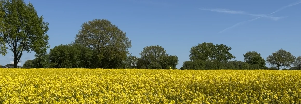 Bannerbild | zur Startseite