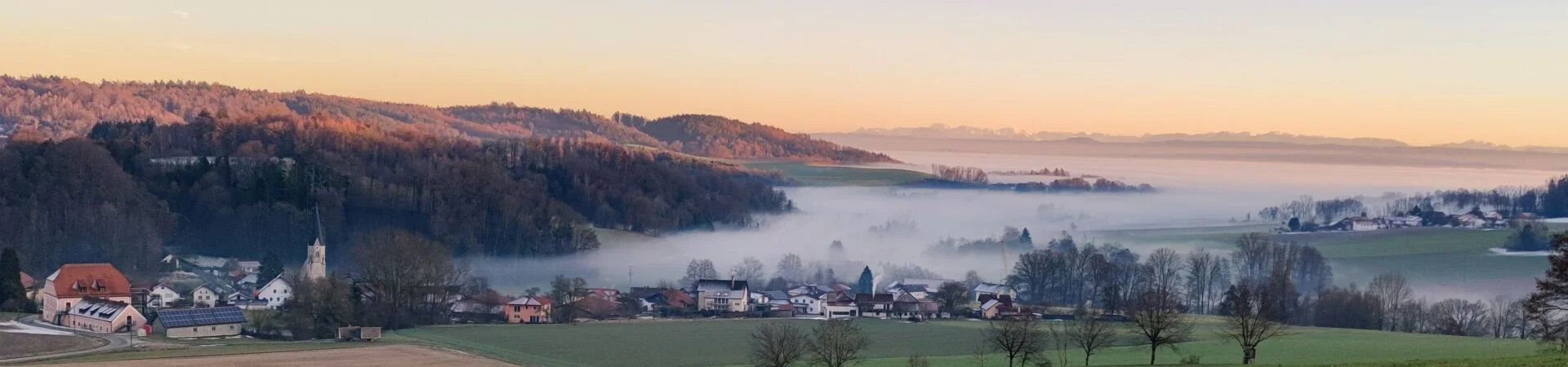 Bannerbild