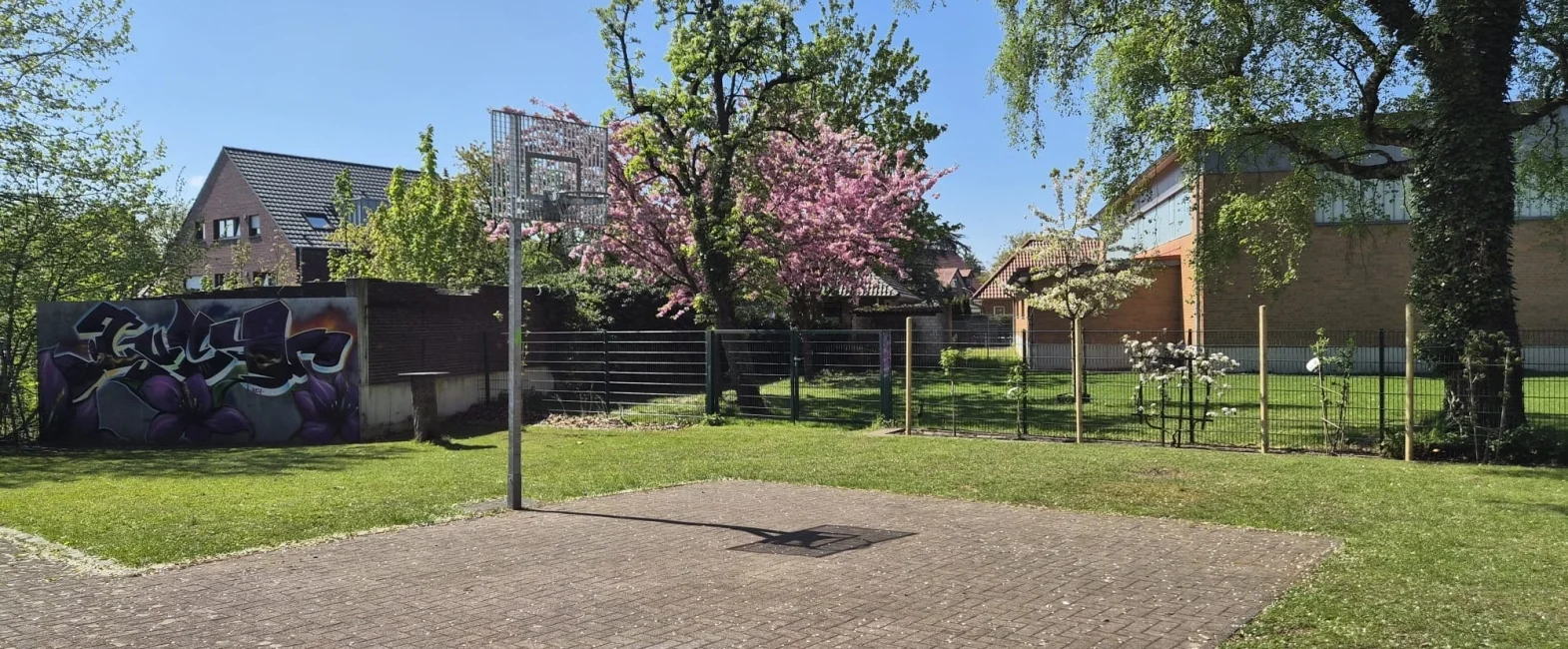 Bannerbild
