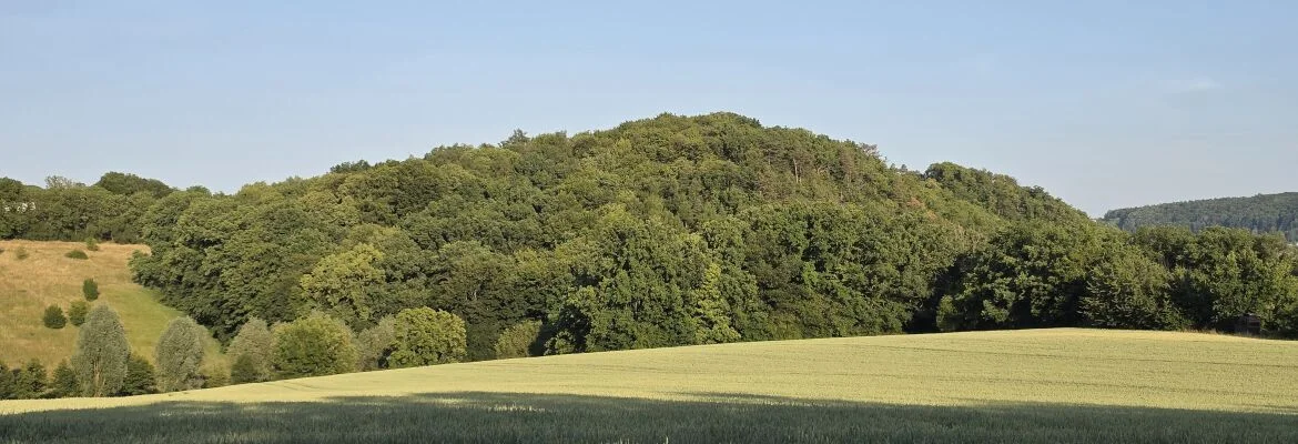 Bannerbild