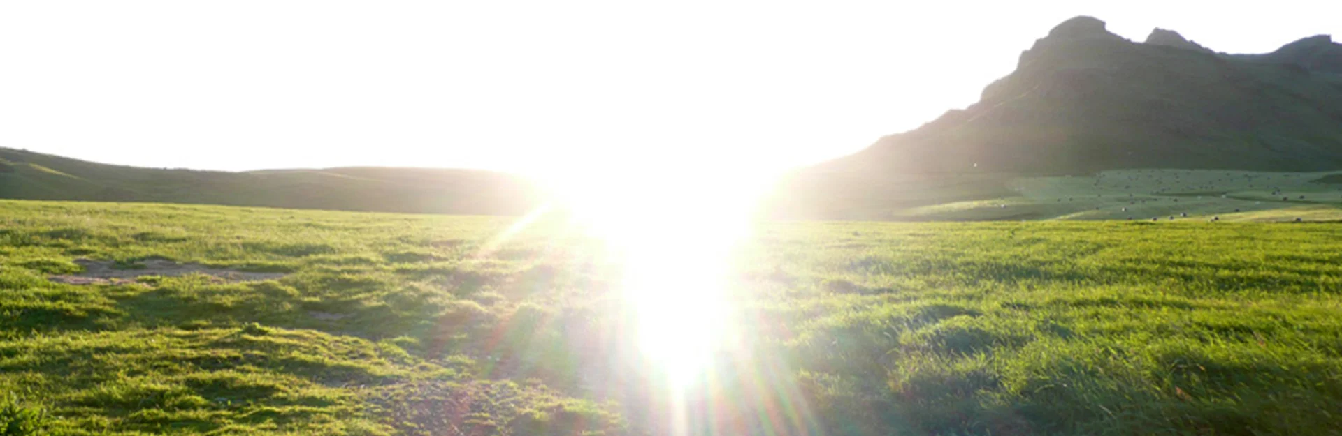 Bannerbild