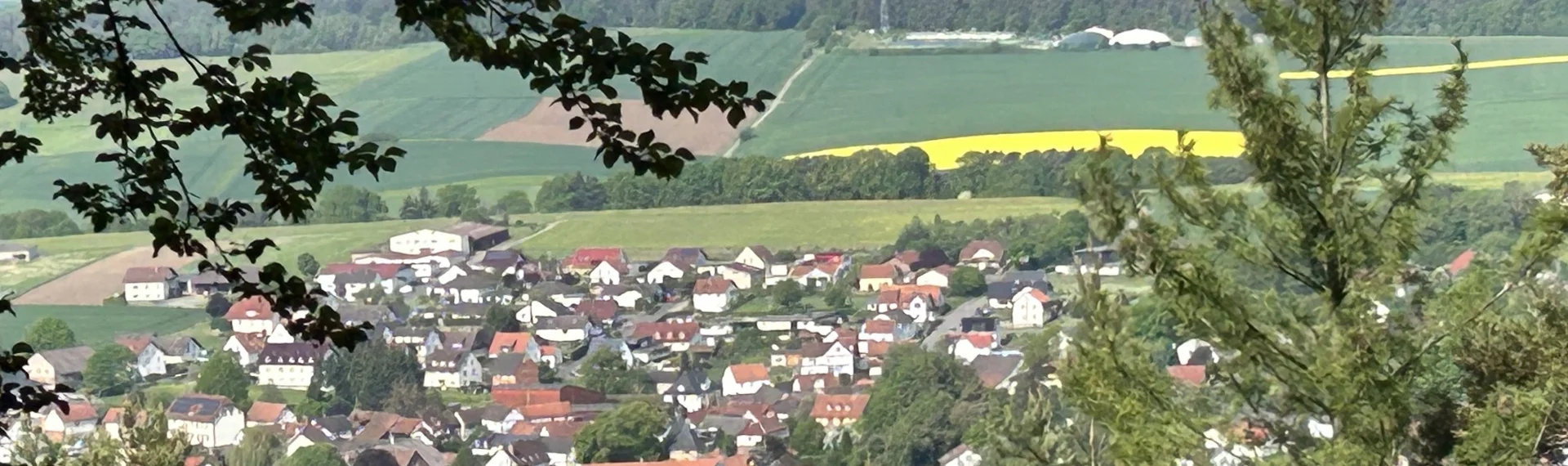 Bannerbild | zur Startseite