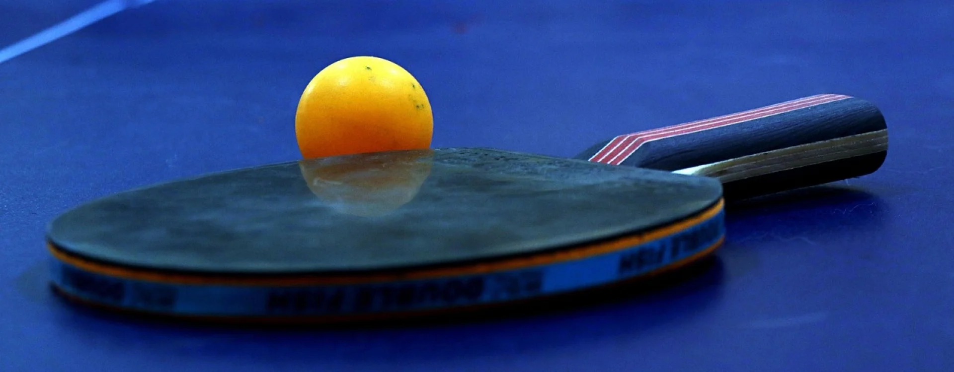 Bannerbild