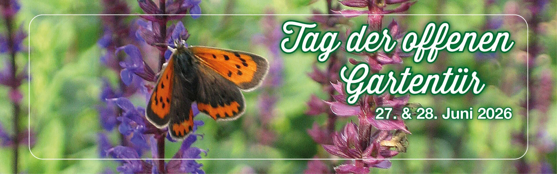 Bannerbild