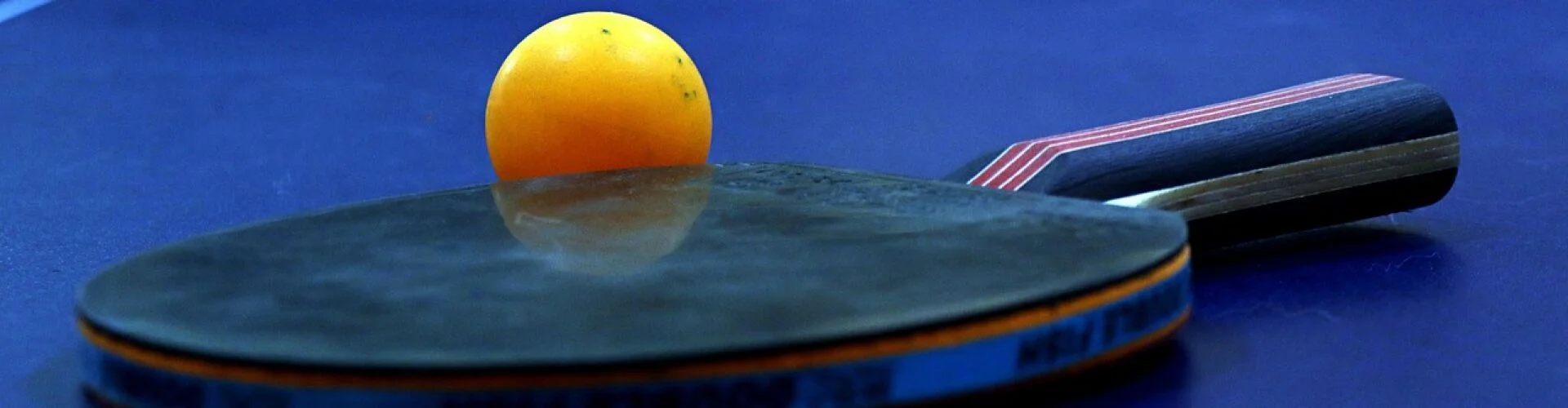 Bannerbild