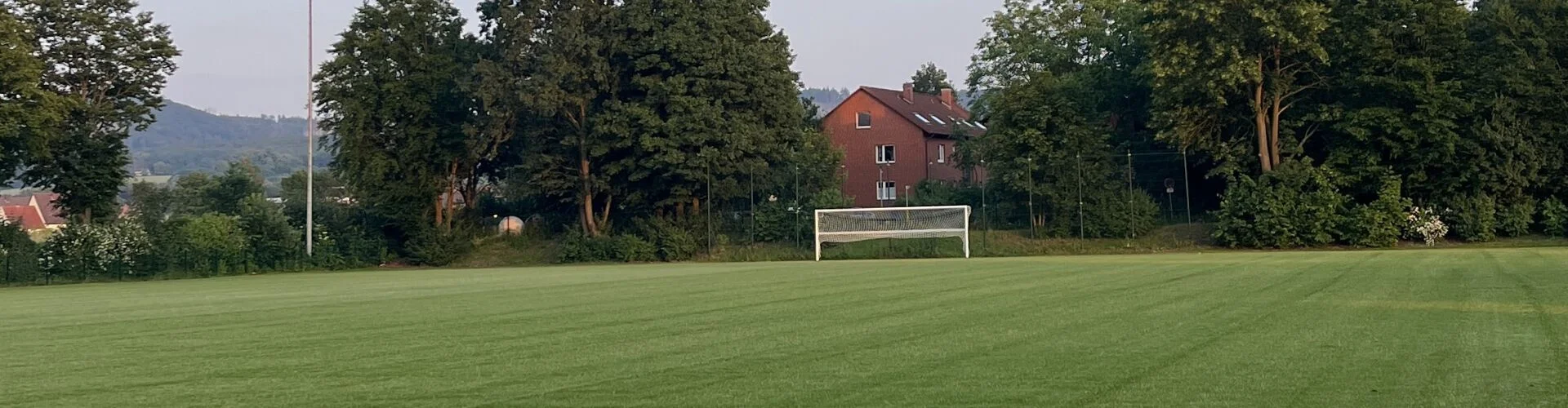 Bannerbild