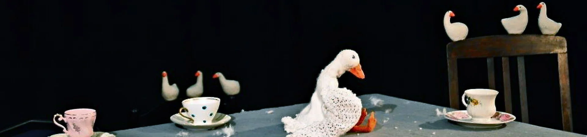 Bannerbild