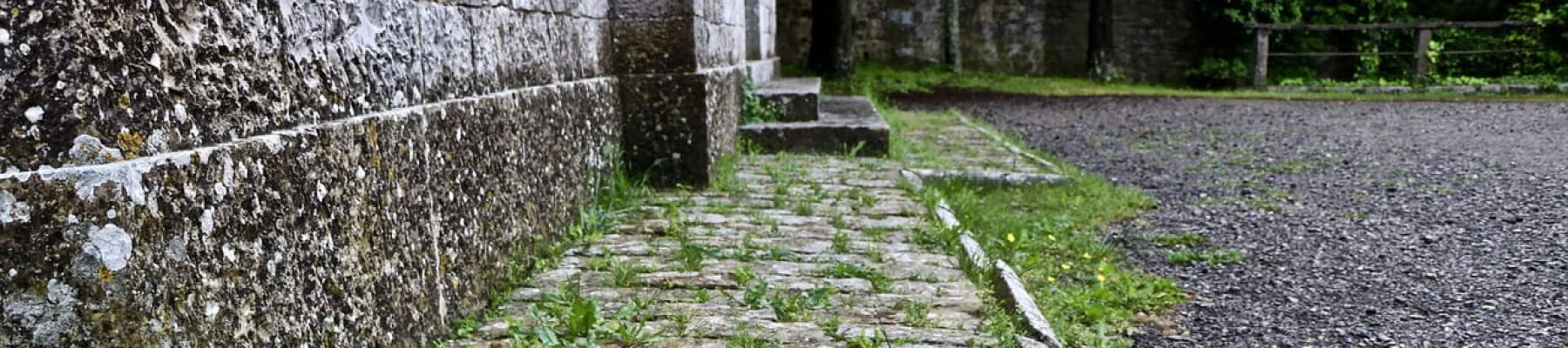 Bannerbild