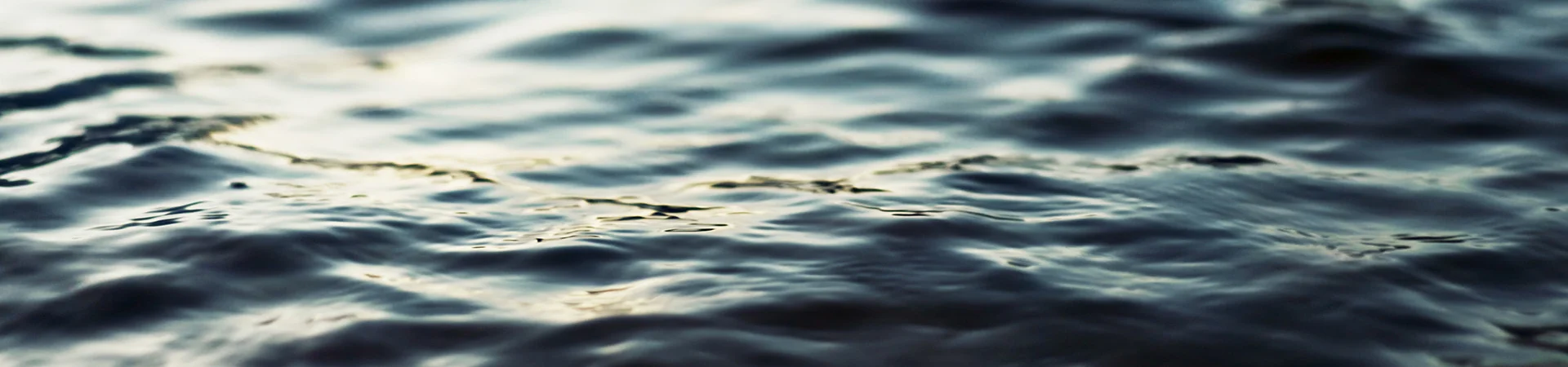 Bannerbild