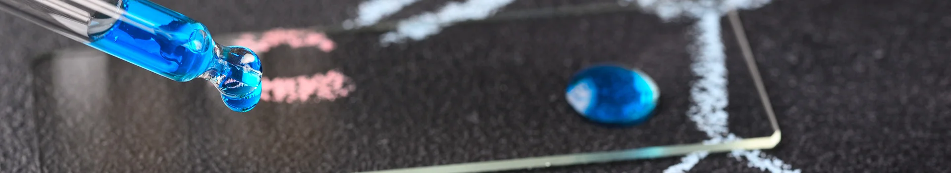 Bannerbild