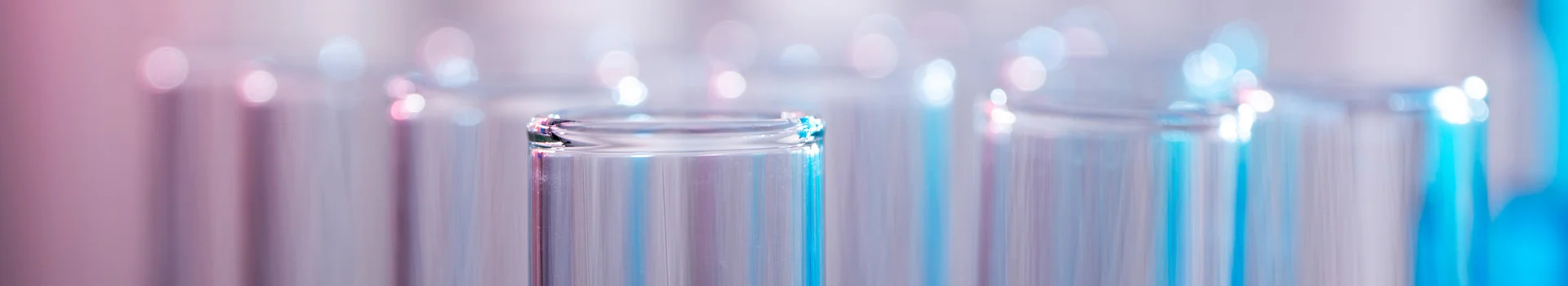Bannerbild