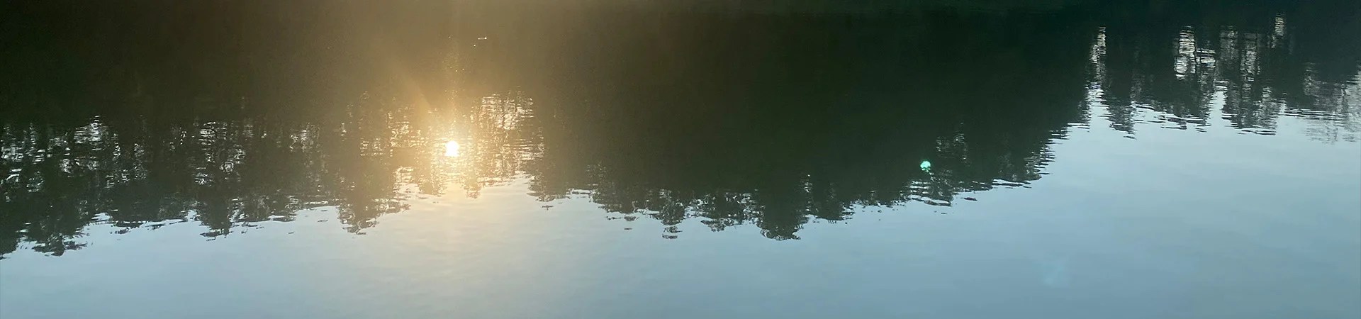 Bannerbild