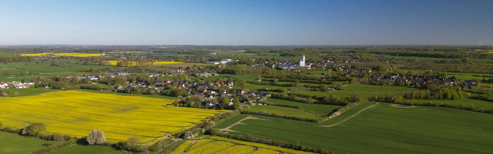 Satrup Rehberg